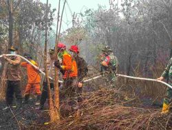 Dua Hektare Lahan Gambut Terbakar di Singkawang Utara, Tim Gabungan Berjibaku Cegah Api Meluas