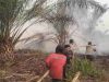Menembus Lahan Kering Melawi, Aksi Polsek Belimbing dan Warga Padamkan Karhutla di 7 Desa