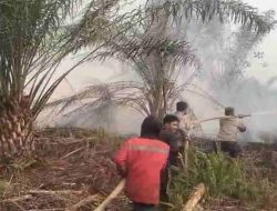 Menembus Lahan Kering Melawi, Aksi Polsek Belimbing dan Warga Padamkan Karhutla di 7 Desa