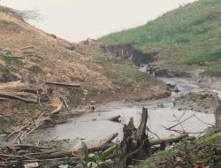 Sungai Menghitam di Sekadau, Warga Duga Tercemar Limbah Pabrik PT Makmur Primalastri