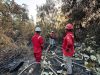 Bantah Keringkan Gambut, PT Mayawana Persada Klaim Terapkan Sekat Pintu Kanal dan Jaga Tinggi Muka Air