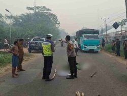 Manuver Mendahului Truk Berujung Maut, Pemotor 19 Tahun Tewas di Trans Kalimantan KM 22