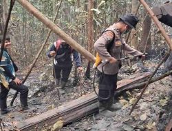 Karhutla Muncul di Bukit Semau Sanggau, Tim Gabungan Berjibaku di Tengah Medan Terjal dan Minim Air