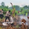Bara Masih Bersembunyi di Lahan Gambut Limbung, Polisi Gunakan X-Fire Cegah Karhutla Kembali