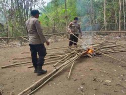 Arena Sabung Ayam di Kapuas Hulu Kembali Dibongkar, Polisi Bakar Lokasi Perjudian yang Pernah Ditindak