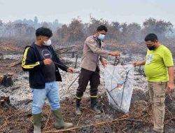 Video Pembakaran Lahan untuk Tanam Sawit Beredar, Polisi Cek Lokasi di Mempawah