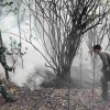 Tiga Titik Panas Terdeteksi di TNDS Kapuas Hulu, 5 Hektare Lahan Terbakar
