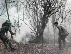 Tiga Titik Panas Terdeteksi di TNDS Kapuas Hulu, 5 Hektare Lahan Terbakar