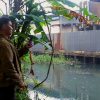 Pabrik Karet PT Hok Tong Buang Limbah Sembarangan dan Rusak Lahan Warga Siantan Hulu