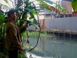 Pabrik Karet PT Hok Tong Buang Limbah Sembarangan dan Rusak Lahan Warga Siantan Hulu
