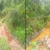 Jalan Rusak dan Belum Teraliri Listrik PLN, Warga Dusun Melabo Bengkayang Menanti Pembangunan