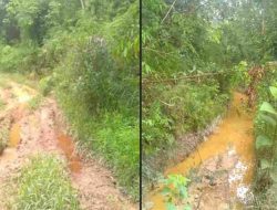 Jalan Rusak dan Belum Teraliri Listrik PLN, Warga Dusun Melabo Bengkayang Menanti Pembangunan
