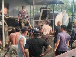 Kebakaran Mesin Tower Indosat di Kapuas Hulu, Warga dan Aparat Padamkan Api